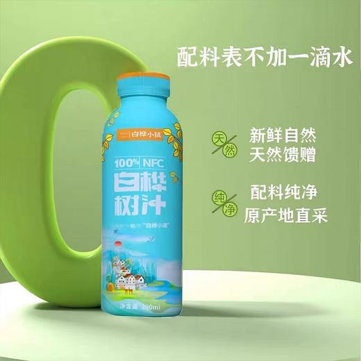 白桦小镇100%白桦树汁290ml 商品图2