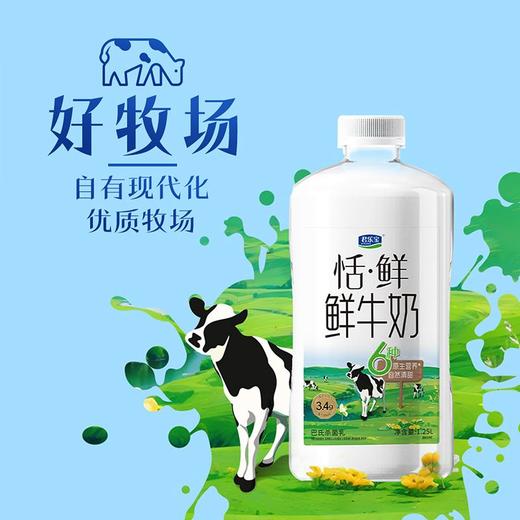 君乐宝 恬·鲜鲜牛奶 1.25升/瓶 商品图3