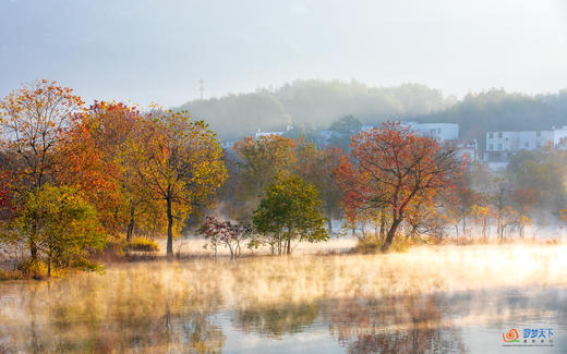 秋色·鄂皖豫大别山深度9 天：鸡公山、新县古村、马鬃岭、罗田圣人堂、水上红叶 商品图7