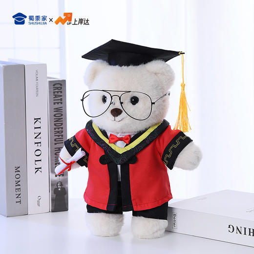 【导师毕业熊】可定制创意毛绒公仔玩具 礼盒装小熊玩偶送礼摆件 商品图9