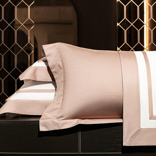 臻享80支新疆长绒棉提花四件套（素轩） 商品图3