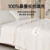 四季子母二合一桑蚕丝被 商品缩略图1