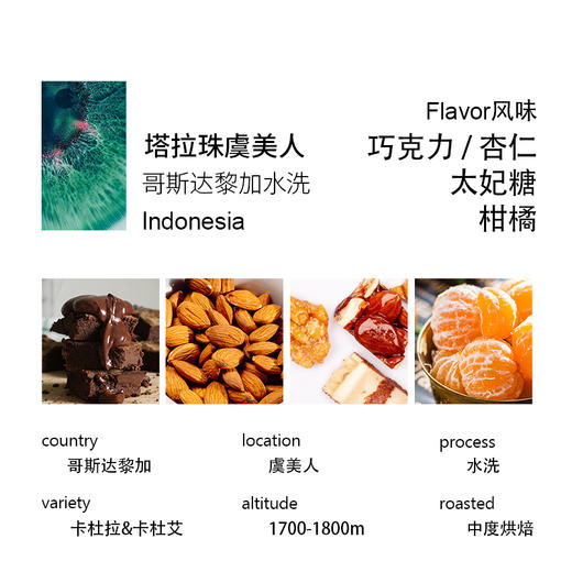 哥斯达黎加塔拉珠虞美人庄园水洗手冲咖啡豆可磨粉中烘 200克 商品图1