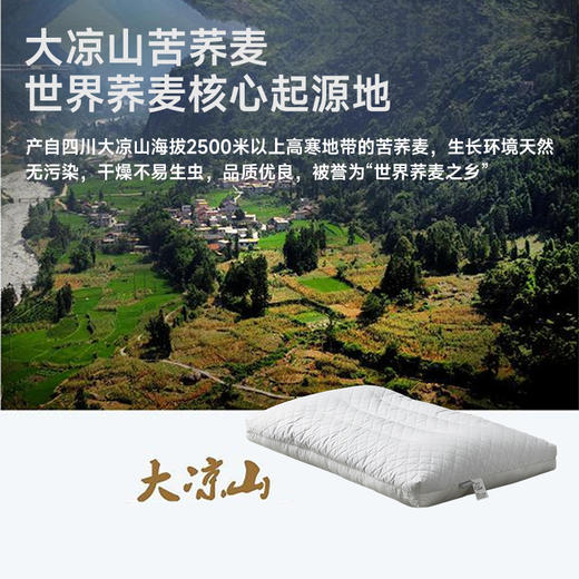高山苦荞软硬双用枕 商品图1