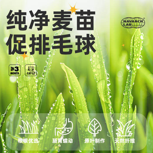 猫薄荷饼干｜不用种的猫草｜美味除毛球｜亮泽毛发 商品图1