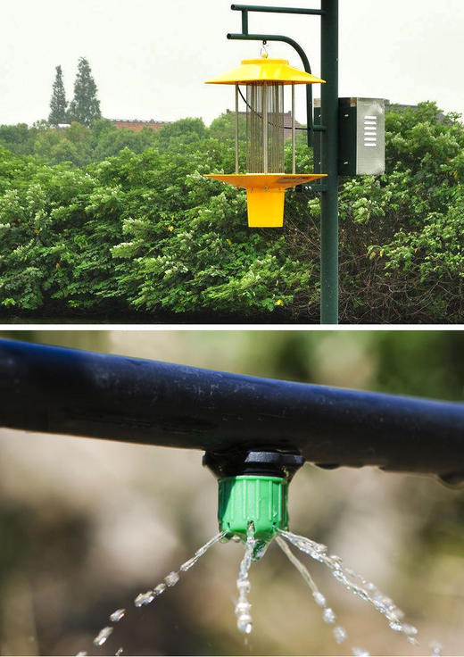 【山楂优块】味道纯正 果味浓郁 软糯酸甜 没有添加剂 不使用农药 山楂无污染 30年烤制工艺独家秘方 6次熬糖工艺 商品图5