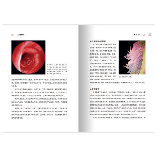 《BBC人体使用指南》 商品图8