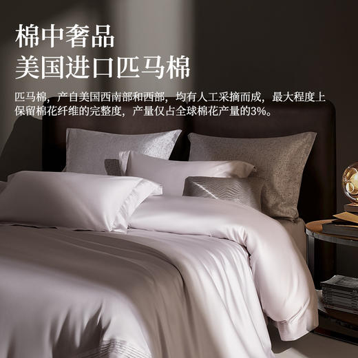 臻品80支匹马棉四件套(毕萝) 商品图1