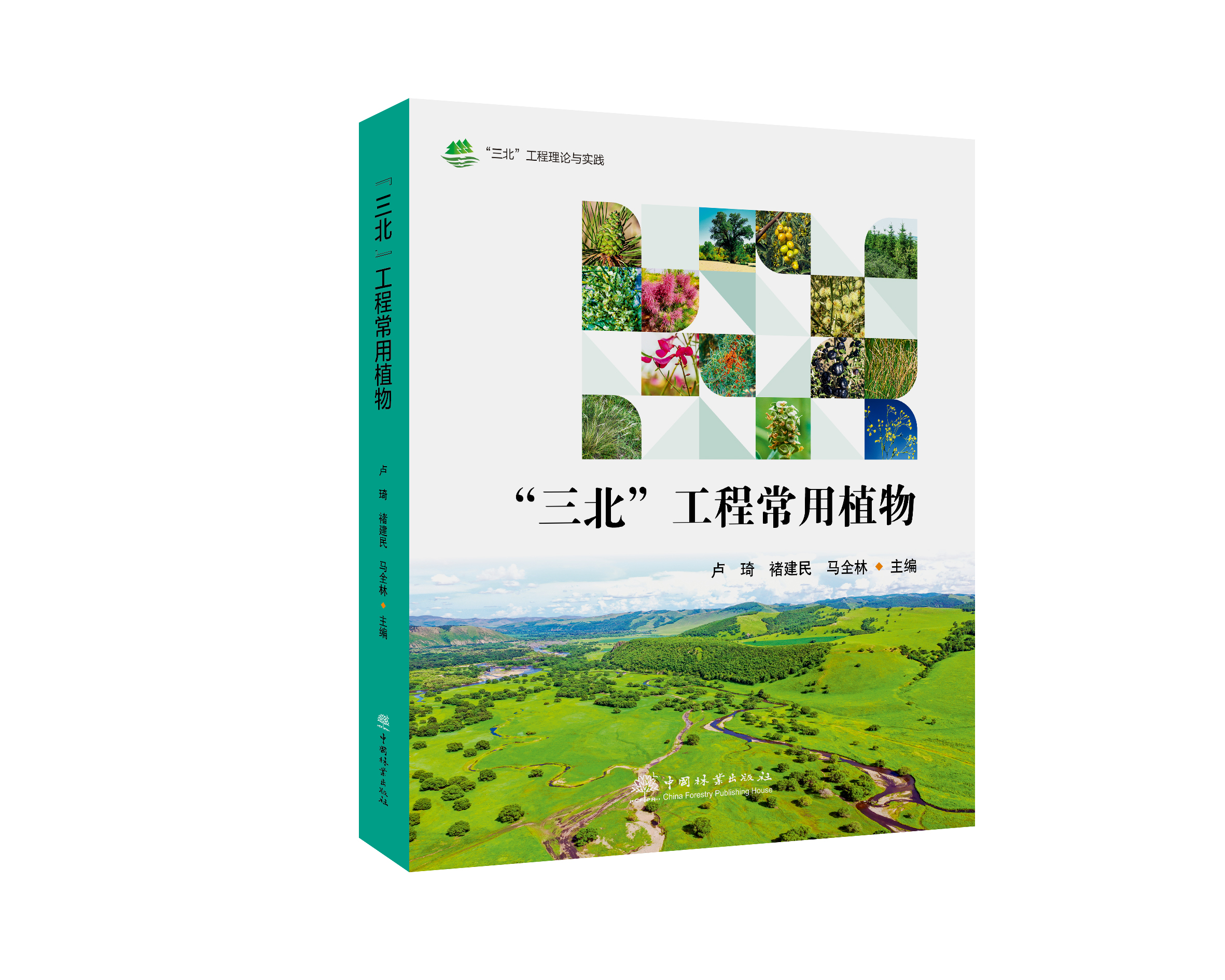 “三北”工程常用植物 &3257