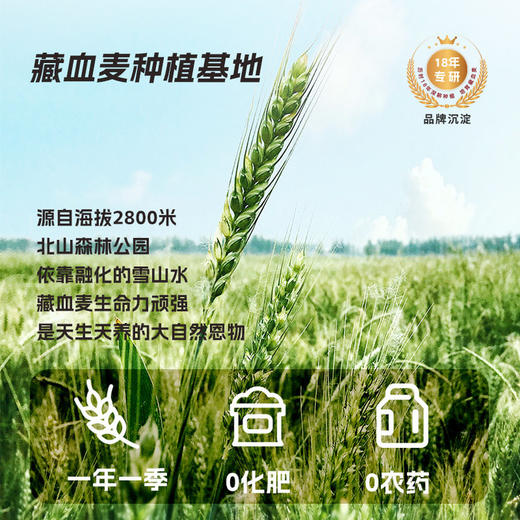 「有机认证+低GI认证 有效控糖」金谷力 β葡聚糖有机藏血燕麦片 高膳食纤维 高蛋白 390g/盒 商品图6