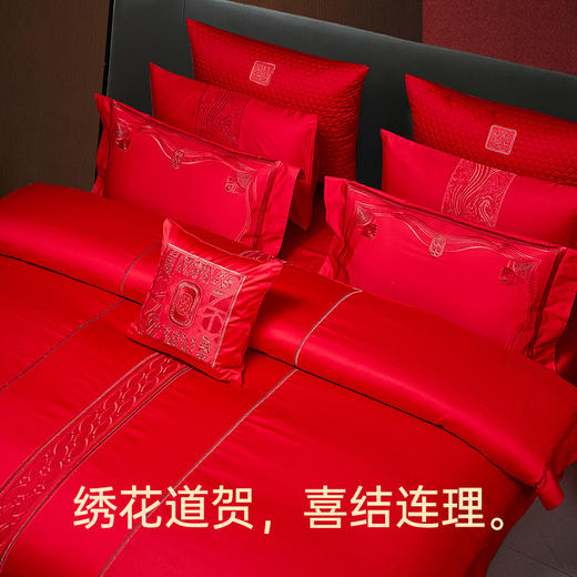 臻品系列100支提花刺绣禧嫁四件套(爱的华尔兹) 商品图2