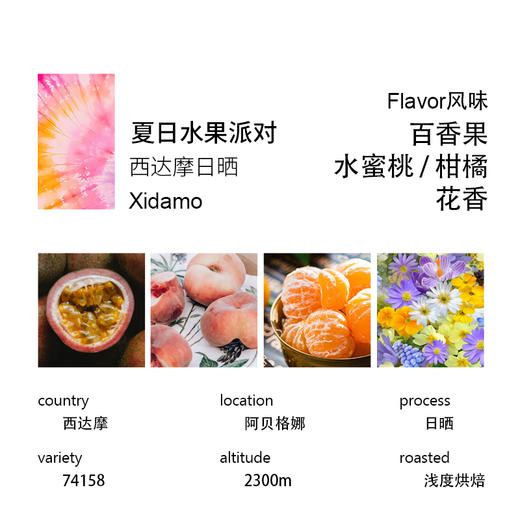 埃塞西达摩夏日水果派对红樱桃计划咖啡豆 商品图2