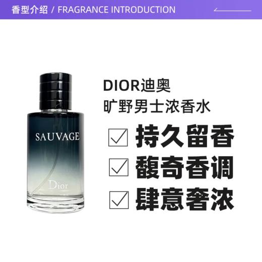 【一口价】Dior 迪奥 旷野男士香水淡香 100ml 商品图2