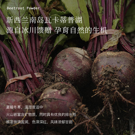 Blackwood甜菜根冻干粉45g/罐  商品图1