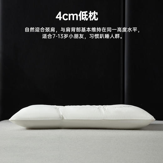 可水洗超柔抗菌舒坦枕 商品图3