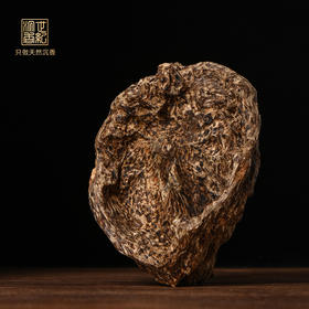 天然海南沉香原料  九分沉 53.6克 SP3141