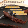 免费试吃【新中式·轻滋补】非遗工艺原始拾光 即食人参 商品缩略图1