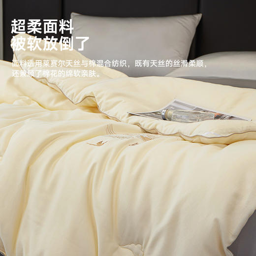 60支天丝棉50大豆纤维春秋被 商品图7