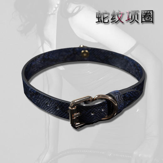 魅灵温变 蛇纹项圈 商品图5