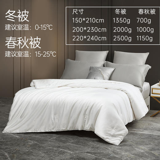60支大提花悦享蚕丝被 商品图1