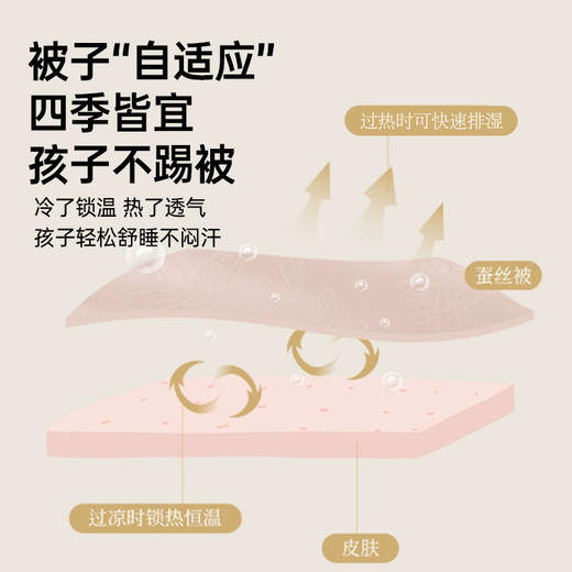 四季子母二合一桑蚕丝被 商品图3