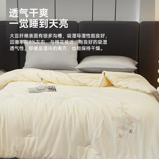 60支天丝棉50大豆纤维春秋被 商品图5