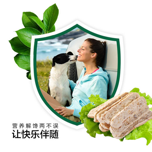 耐威克狗狗零食｜深海鳕鱼排｜泰迪小型犬幼犬｜训犬零食｜高蛋白｜营养丰富 商品图4