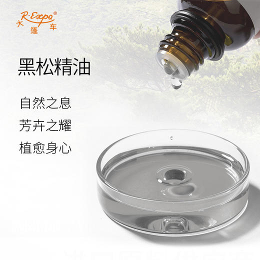 黑松精油 奥地利单方精油原料批发芳疗护理香氛调香香薰 大篷车 商品图1