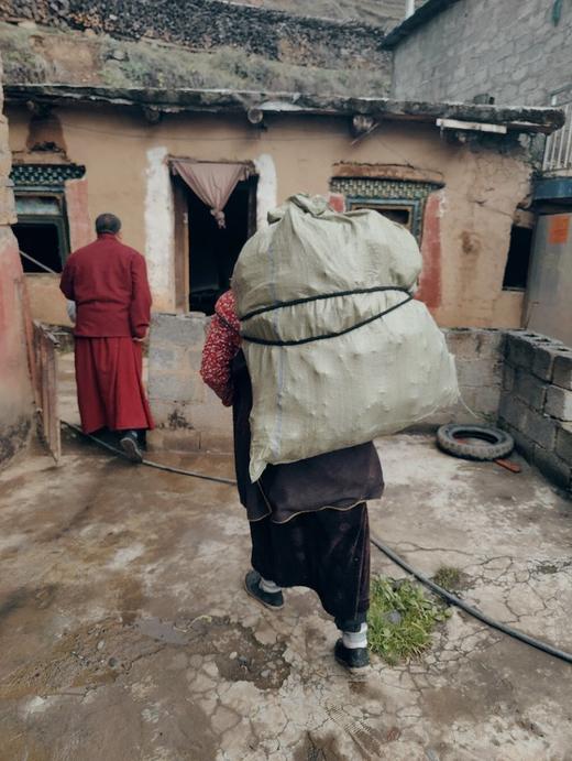 红景天精油 商品图4