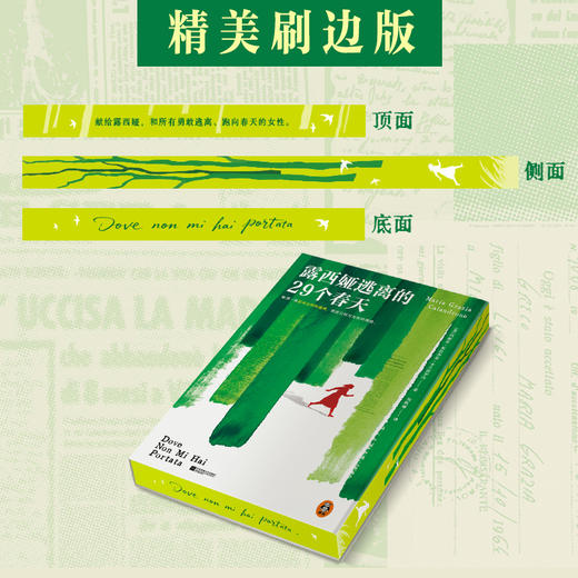露西娅逃离的29个春天（专享刷边版）还原母亲被时代围猎的29年人生！ 商品图3