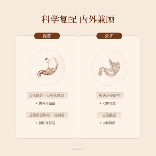【双11】Youthology L-肌肽锌胶囊 60粒/瓶 商品图5