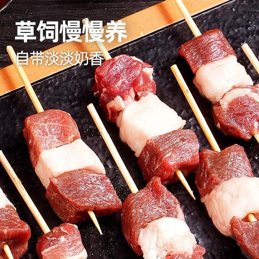 dxd-12大希地羊肉串套餐1200g 商品图1