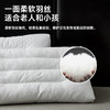 高山苦荞软硬双用枕 商品缩略图4