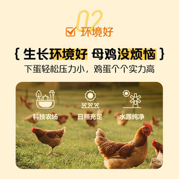 1号会员店One's Member 富硒可生食标准鲜鸡蛋30枚 净重3斤单枚55g源头直发 /生鲜 /禽肉蛋品 /蛋类 商品图8