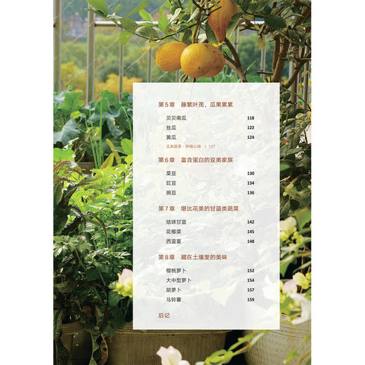 《阳台种菜》 商品图6