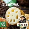 湖北生态脆藕 3斤 | 合作农友生产，来自湖北武汉，生产者：杨景勇 *【公平贸易农人定价】 商品缩略图0