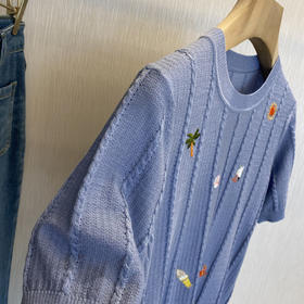 怦然心动的绝！！太好看了，2025度假海滩刺绣细绞花羊毛针织短袖T恤！