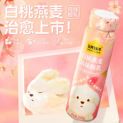 认养一头牛潦草小狗联名款法式酸奶 多口味 商品图0