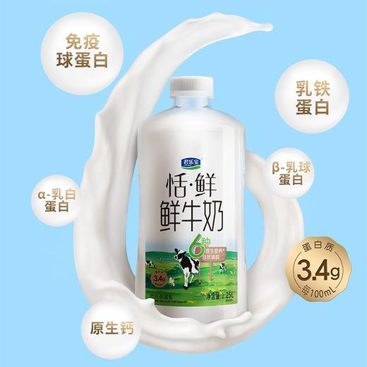 君乐宝 恬·鲜鲜牛奶 1.25升/瓶 商品图1