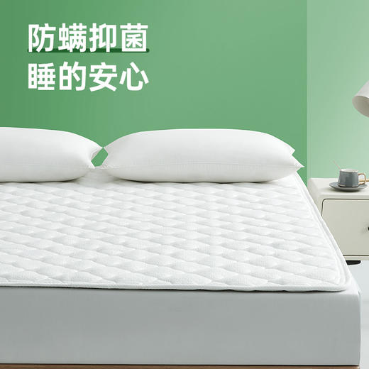 乳胶床褥垫 商品图5