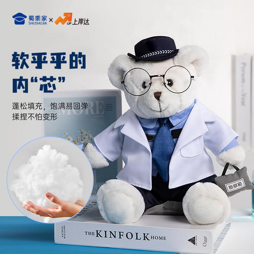 【实付满199送钥匙扣】【法医大白大壮】可定制创意毛绒职业小熊公仔儿童玩具服装可脱送礼礼物 商品图3