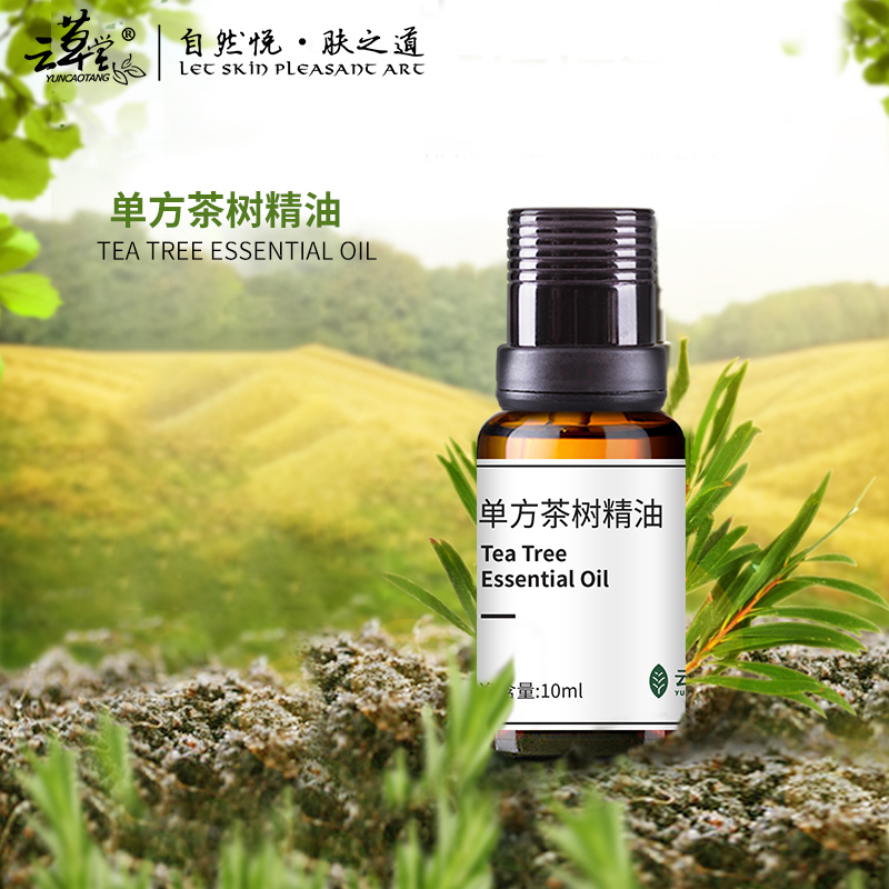 【站桩养正•养正好生活】云草堂单方茶树精油10ml
