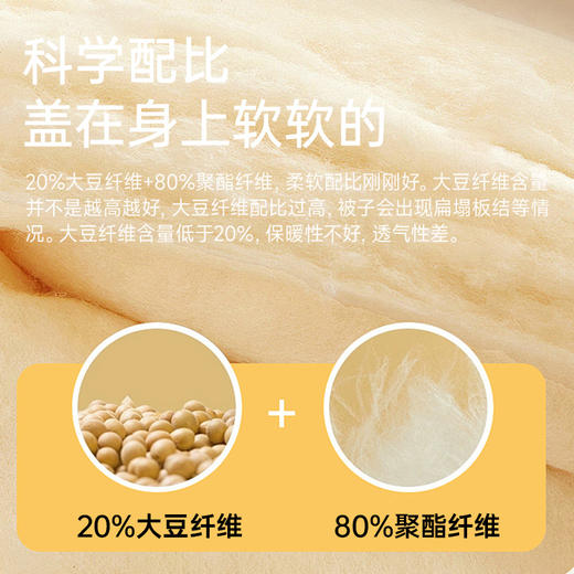 大豆蚕丝大提花子母被 商品图4