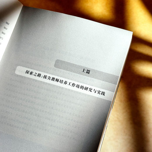 拔尖教师工作坊 基础教育高端人才培养的上海普陀实践 王华 商品图8