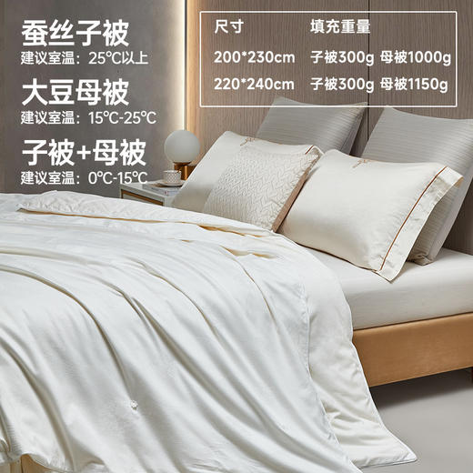 大豆蚕丝大提花子母被 商品图1