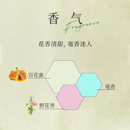 赏丨蜜香金芽 有机红茶 特级 60g（银色罐装/补充装） 商品图5