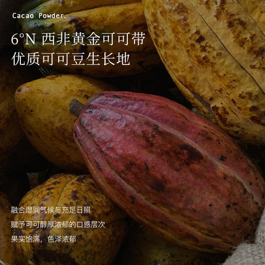 Blackwood生可可粉40g/罐 商品图1