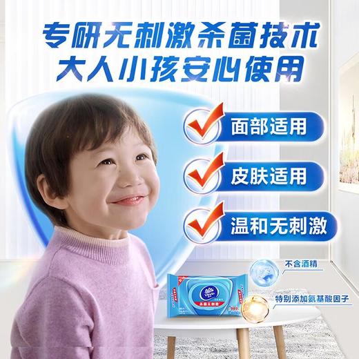 维达杀菌湿巾温和无香80片 商品图2