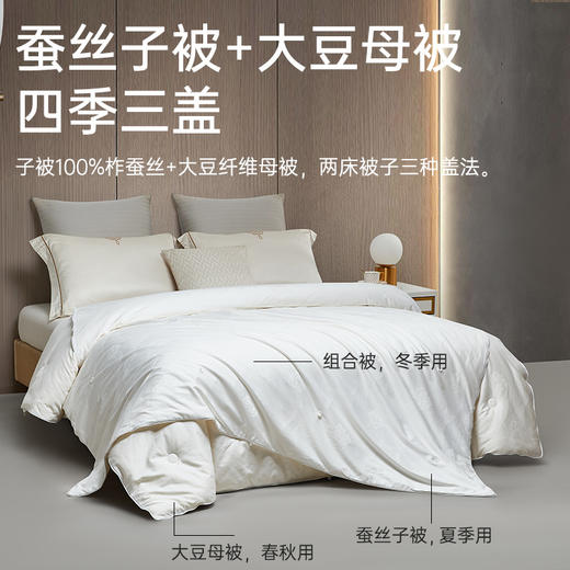大豆蚕丝大提花子母被 商品图2