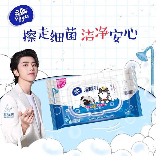 维达40片湿厕纸(吾皇版) 商品图3